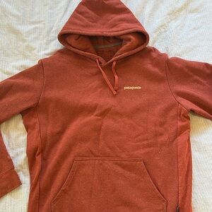 Patagonia Hoodie, Men’s Large